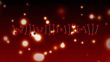 Kırmızı bokeh arka planda etrafında uçarken kırmızı çift sarkan ile dijital olarak oluşturulan yatay Dna