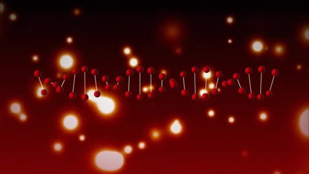 数字生成的水平Dna与双螺旋在红色 而红色散红在背景中飞来飞去 — 图库视频影像
