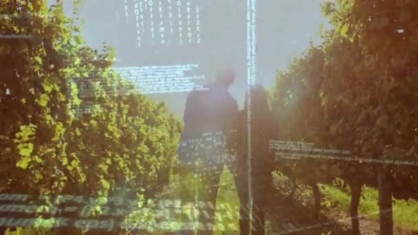 Zadní Pohled Pár Povídání Při Chůzi Parku Zatímco Programové Kódy — Stock video