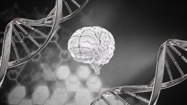 Digital Animation Rotating Brain Two Rotating Dna Helix Grey Background — Stock Video