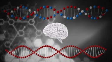 Dna iplikçikleri arasında dönen bir beynin dijital olarak oluşturulan animasyonu