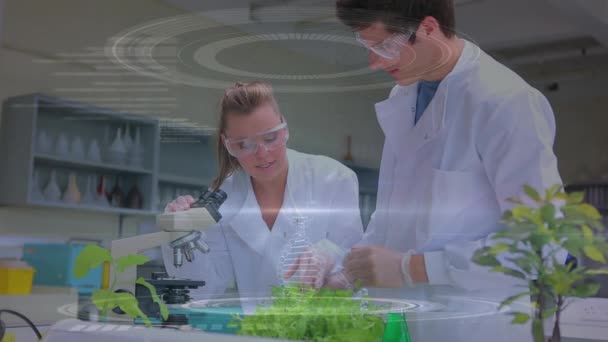 Perto Cientista Caucasiano Homem Mulher Fazer Pesquisa Num Laboratório Cientista — Vídeo de Stock