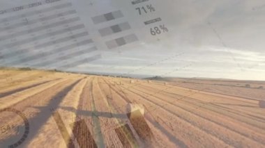 Ön planda çalışan grafikler ve istatistiklerin dijital animasyonu ile bir tarım alanının yüksek açısı