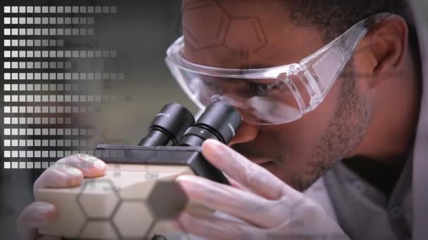 一位非洲裔美国男性科学家和白种女性科学家通过显微镜观察的数字合成 同时屏幕显示条形和不同的化学结构 — 图库视频影像