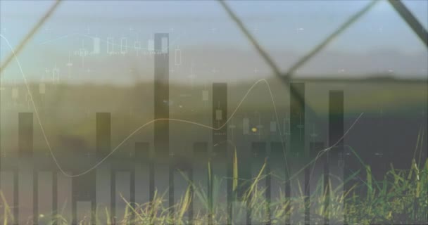 Animación Digital Estadísticas Gráficos Primer Plano Campo Atardecer Con Torres — Vídeos de Stock