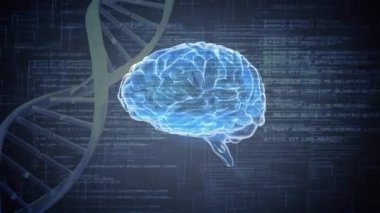 Bir beynin dijital animasyonu ve ön planda dönen bir Dna sarlisi. İkili kodlar ve programlama kodları arka planda çalışıyor