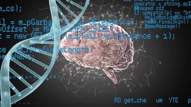 Animation numérique d'un cerveau et d'une hélice ADN. Les codes de programme sont en cours d'exécution au premier plan 