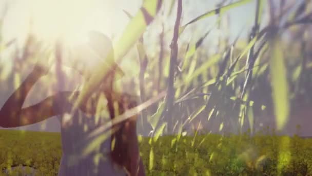 Animación Digital Campo Flores Una Mujer Caucásica Con Sombrero Puede — Vídeo de stock