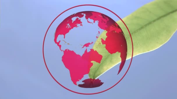 보라색 배경에서 회전하는 빨간색 지구문의 디지털 애니메이션입니다 나뭇잎에서 방울도 뒤에서 — 비디오