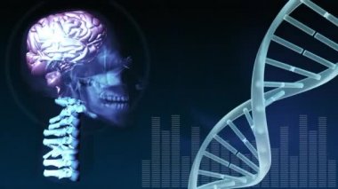 Arka planda seviye çubukları ile insan kafası ve Dna sarkaç dönen dijital animasyon