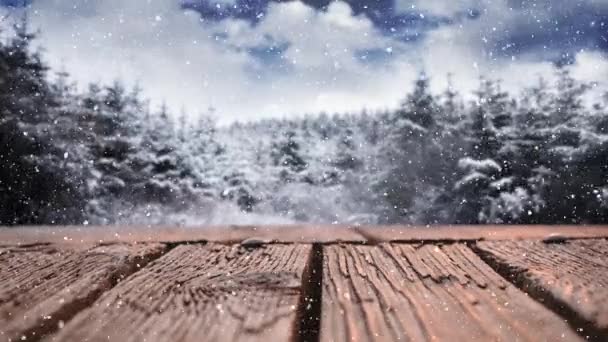 雪の森を望む木製デッキの低角 — ストック動画