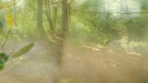 森の中で座ってくつろぐ白人女性のデジタルアニメーション — ストック動画