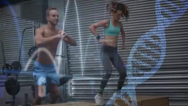 Digital Composite Caucasian Man Woman Exercising Gym Dna Helix Heart — Stock Video