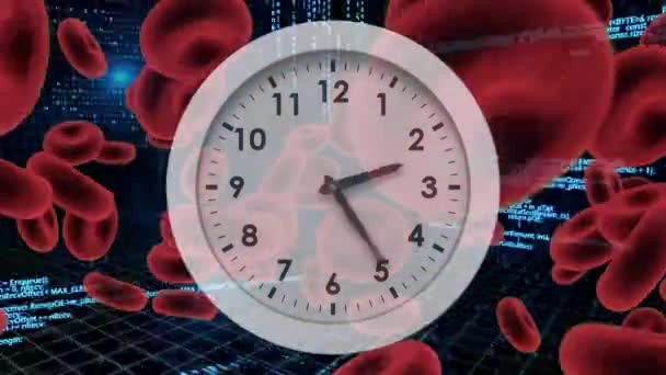 Digitaal Gegenereerde Animatie Van Witte Klok Met Rode Bloedcellen Programmacodes — Stockvideo