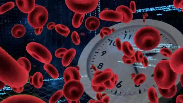 Digital Animation White Clock Red Blood Cells Moving Screen Background — Stock Video