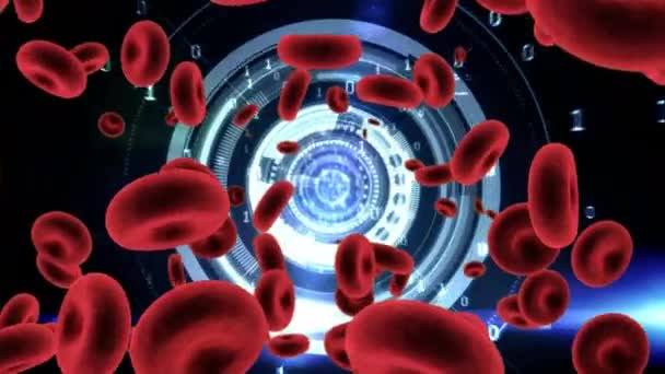 Digital Animation Red Blood Cells Moving Futuristic Circle Background Binary — Stock Video