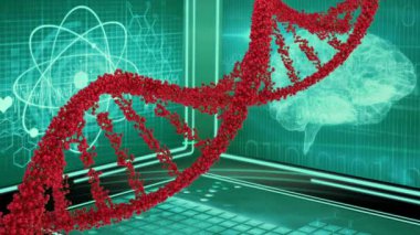 Dijital beyin ve atomik yapı arka plan ile dönen DNA çift sarlis dijital olarak oluşturulan animasyon