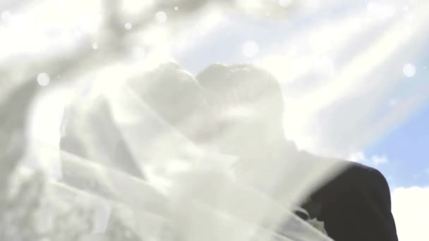 Цифровая Композиция Кавказской Пары Целующейся Свадебной Одежде Время Боке Светится — стоковое видео