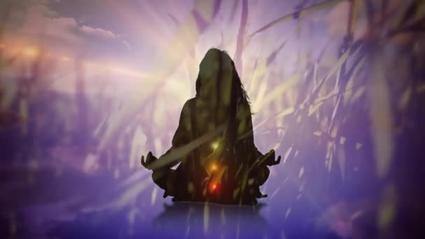 異なるチャクラの輝きと草とフィールドの背景ながら ヨガをしている女性のシルエットのデジタルコンポジット — ストック動画