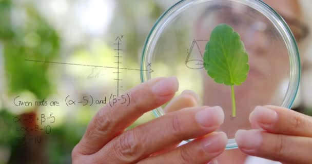 Composite Numérique Une Botaniste Caucasienne Étudiant Une Feuille Sous Une — Video