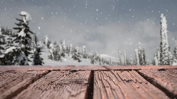 Animação Digital Uma Prancha Madeira Exterior Onde Está Nevando — Vídeo de Stock