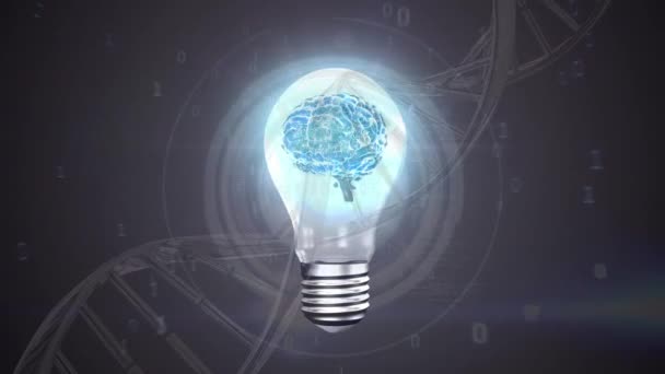 電球とDnaらせんの中の脳のデジタル複合材料 バイナリコードが前景で飛んでいる — ストック動画