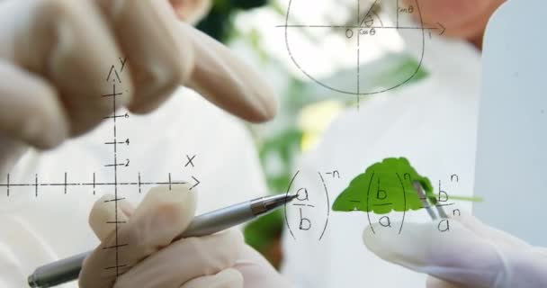 前景4Kで実行されている方程式を持つ葉とグラフを研究する2人の女性白人科学者のデジタル複合材料 — ストック動画