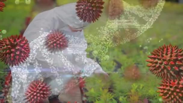 科学家喷洒植物的数字复合材料和充满微生物的前景背后的数字Dna螺旋 — 图库视频影像