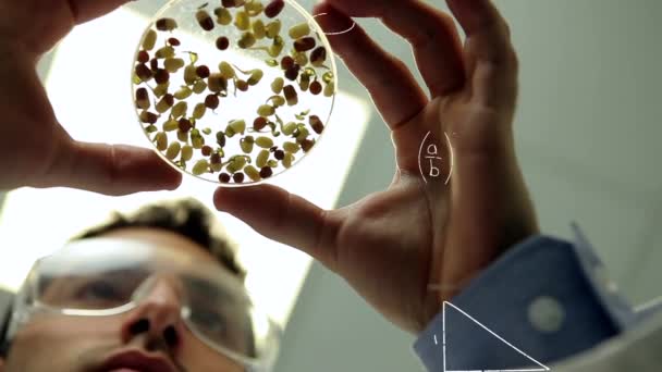 一位男性白种科学家在培养皿上研究豆类的数字合成 屏幕充满了方程和图形 — 图库视频影像