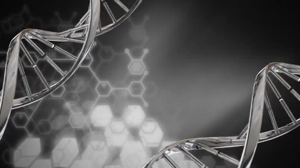 Digital Animation Pair Dna Helix Grey Background — Stock Video