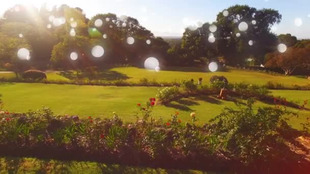 Beyaz Bokeh Işıkları Planda Parlarken Bir Parkın Dijital Kompozit — Stok video