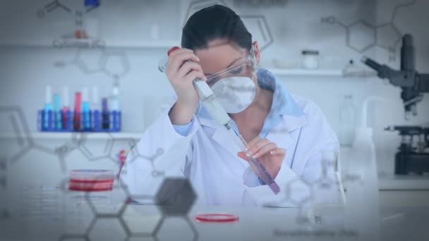 一名女性白种科学家使用移液器从试管中获取紫色液体 并将其放入培养皿中 而化学结构在前景显示的数字合成 — 图库视频影像