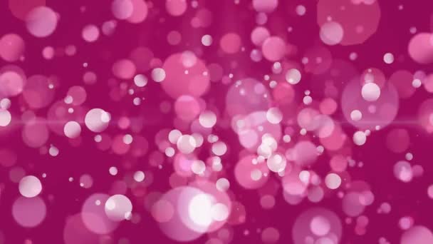 Digitally Generated Animation Bokeh Lights Moving Screen Magenta Background — Stock Video