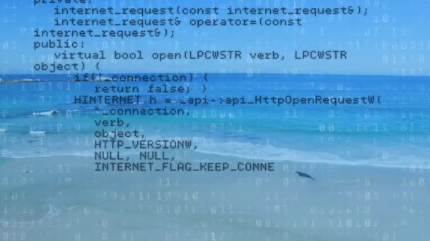 背景がビーチを示している間 プログラムコードのデジタルアニメーション — ストック動画
