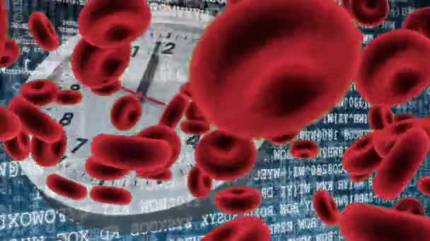 Digital Animation Red Blood Cells Moving Screen While Background Shows — Stock Video