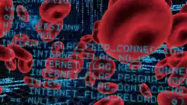 Digitally Generated Animation Red Blood Cells Program Codes Moving Screen — Stock Video