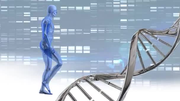 Animazione Digitale Del Dna Doppia Elica Rotante Camminata Umana Digitale — Video Stock