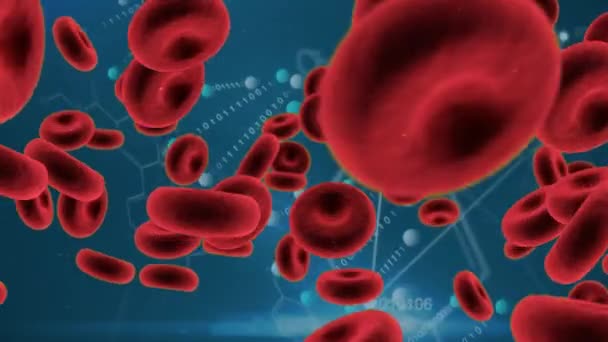 Digitale Animation Roter Blutkörperchen Und Asymmetrischer Linien Mit Binärcodes Die — Stockvideo