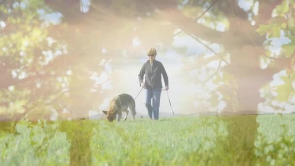 Ağaçların Arka Plan Bir Rehber Köpekle Yürüyen Beyaz Bir Kadının — Stok video