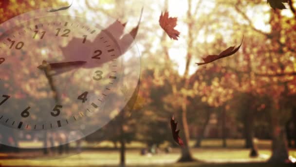 白い時計のデジタルアニメーションと公園に落ちる乾燥した葉の背景 — ストック動画