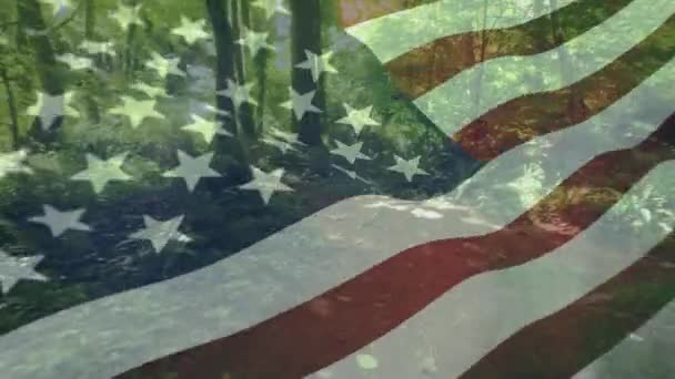 Цифровая Композиция Перемещения Лесу Яркий Солнечный День Американским Флагом Размахивающим — стоковое видео