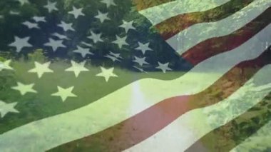 Ön planda sallanan Bir Amerikan bayrağı ile bir orman izi dijital kompozit