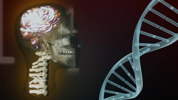 Animation numérique d'un visage humain 3D rotatif, avec cerveau en bronze et colonne vertébrale, et un brin d'ADN blanc sur un fond noir avec des chiffres binaires tombants 