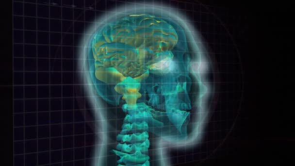 Animation Numérique Visage Humain Tournant Montrant Cerveau Vert Colonne Vertébrale — Video