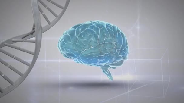 Digital Animation Rotating Blue Brain White Dna Strand Gray Background — Stock Video