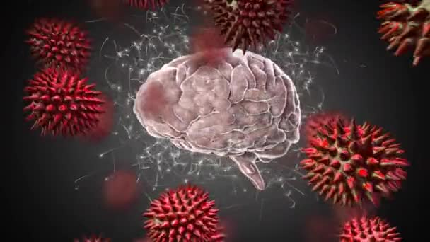 灰色の背景に 一連の赤い花粉粒が移動する周囲の粒子を持つ回転する白い脳のデジタルアニメーション — ストック動画