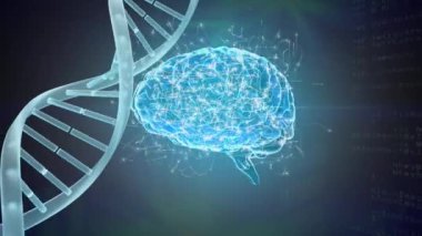 Hareket eden parçacıklarla çevrili dönen mavi bir beynin dijital sanatı. Soldaki DNA iplikçiklerini ve rasgele kodları arka plan olarak döndüren