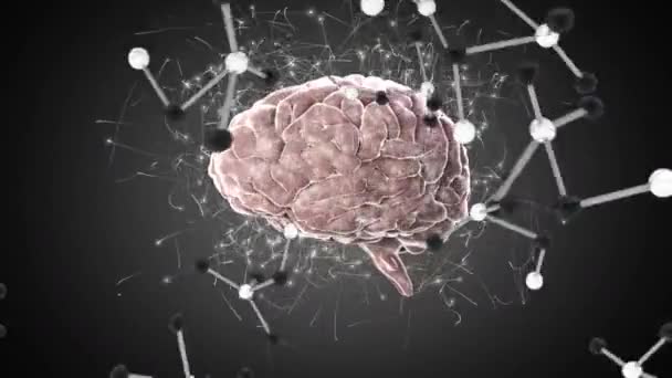 Vista Completa Cerebro Blanco Giratorio Con Partículas Circundantes Estructuras Moleculares — Vídeos de Stock