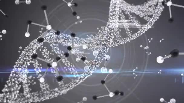 Молекулярный Взгляд Цепочку Спирали Днк Рассеянными Молекулами Падающими Круговой Гипнотический — стоковое видео