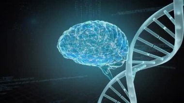 Bir ekrandan programlama kodları serisi ile dönen dna spiral içinde sorunsuz döngü ve Dna spiral ile insan beyninin yanal görünümü.